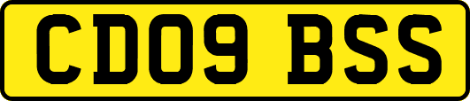 CD09BSS
