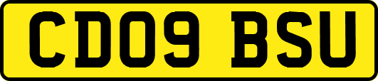 CD09BSU