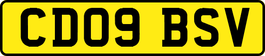 CD09BSV