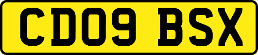 CD09BSX