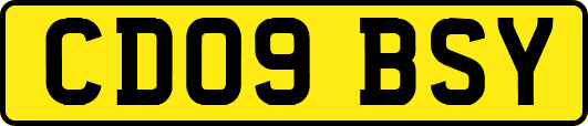 CD09BSY