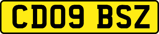 CD09BSZ