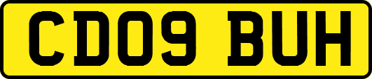 CD09BUH