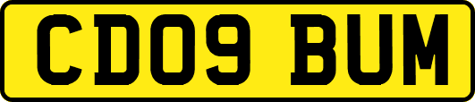 CD09BUM