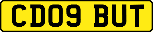 CD09BUT