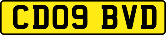 CD09BVD