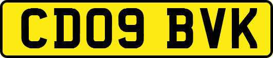 CD09BVK