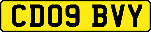 CD09BVY
