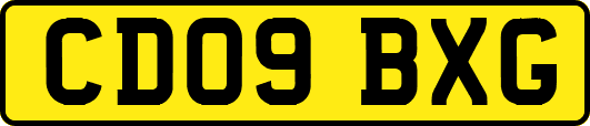CD09BXG