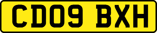 CD09BXH
