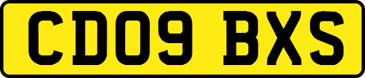 CD09BXS