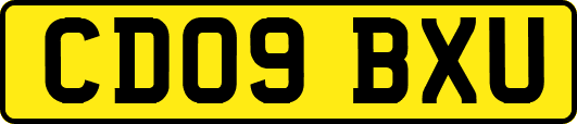 CD09BXU
