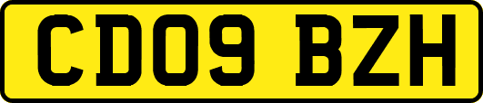 CD09BZH