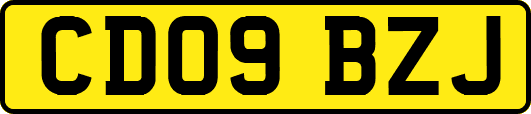CD09BZJ