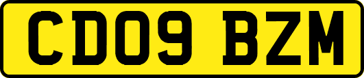 CD09BZM