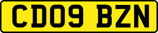 CD09BZN