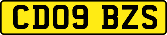 CD09BZS