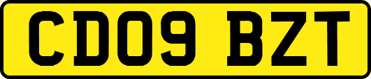 CD09BZT