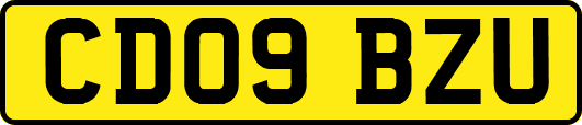 CD09BZU