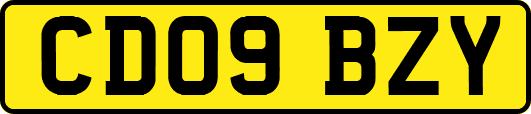 CD09BZY