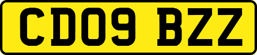 CD09BZZ