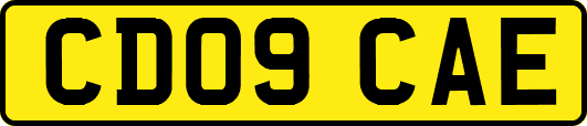 CD09CAE