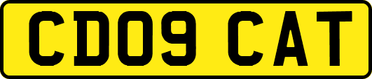 CD09CAT