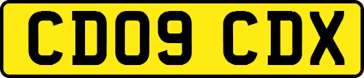 CD09CDX
