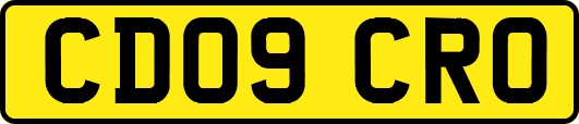 CD09CRO