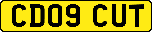 CD09CUT