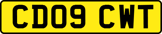 CD09CWT