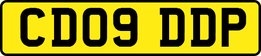 CD09DDP
