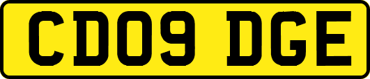 CD09DGE