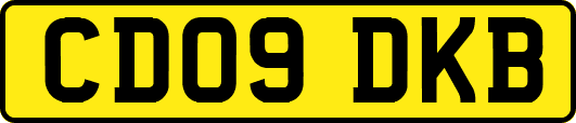 CD09DKB