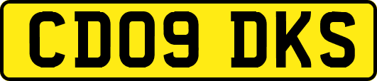 CD09DKS