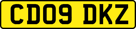 CD09DKZ