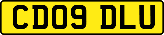 CD09DLU