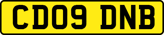 CD09DNB