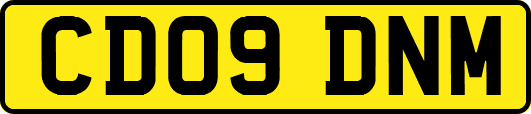 CD09DNM