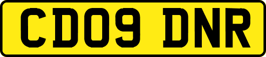 CD09DNR