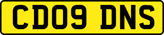 CD09DNS