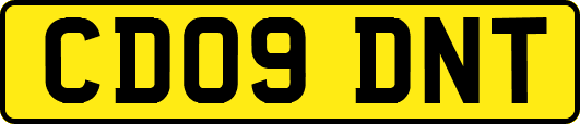 CD09DNT