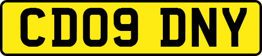 CD09DNY