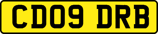 CD09DRB