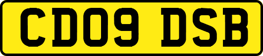 CD09DSB