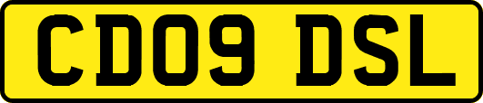 CD09DSL