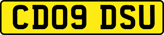 CD09DSU