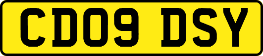 CD09DSY