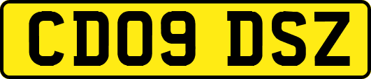 CD09DSZ