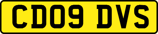 CD09DVS